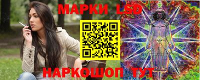 стаф Новокубанск