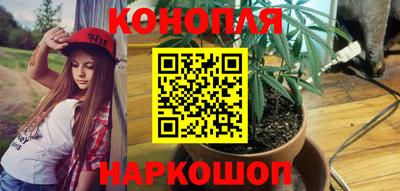 apvp Новозыбков