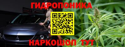 apvp Новозыбков