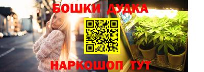 стаф Новокубанск