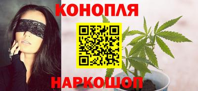 стаф Новокубанск