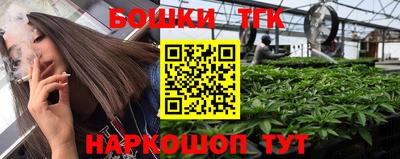 стаф Новокубанск