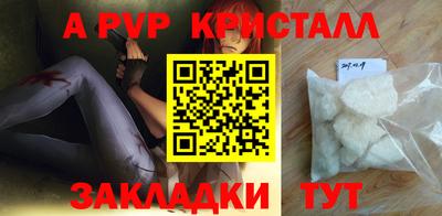 стаф Новокубанск