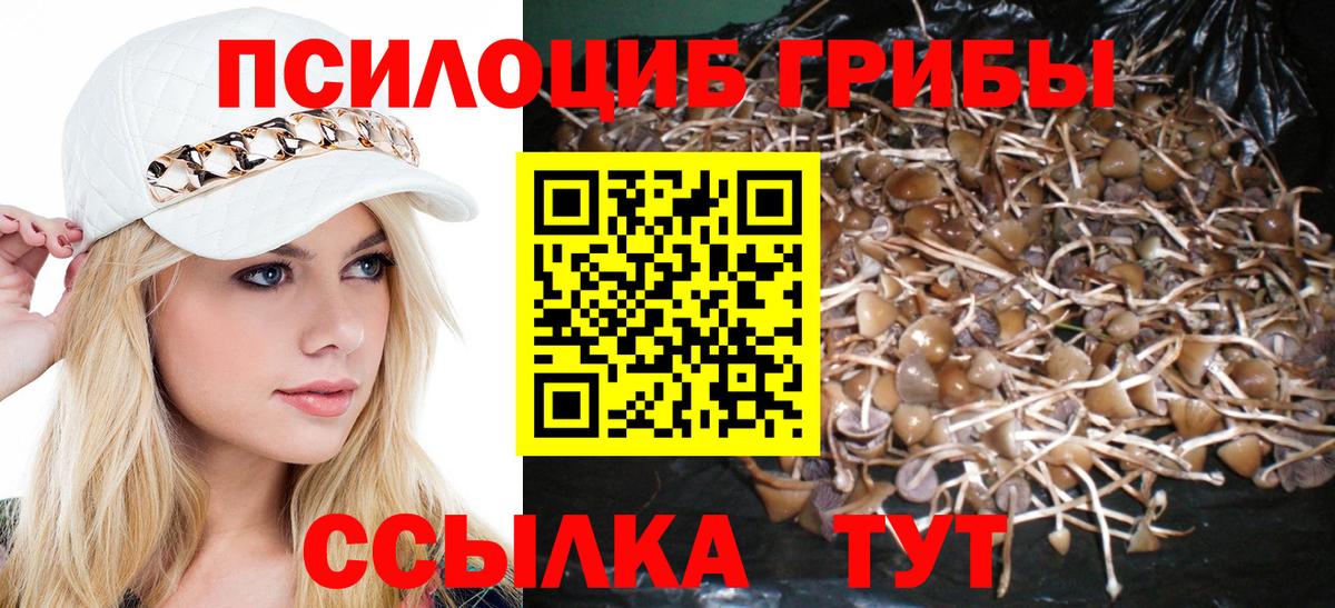 Псилоцибиновые грибы GOLDEN TEACHER  Вход с VPN  Соль-Илецк 