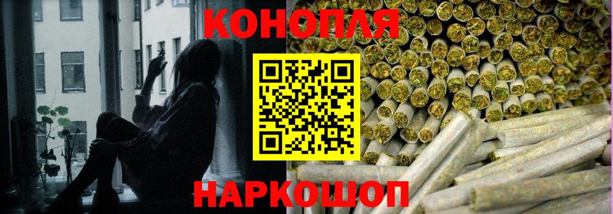 Канабис сатива Соль-Илецк